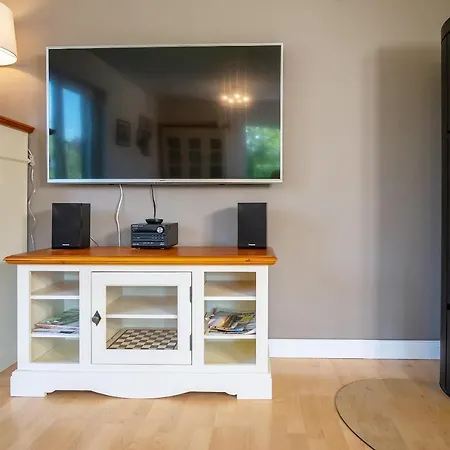 Grosser Strandlaeufer