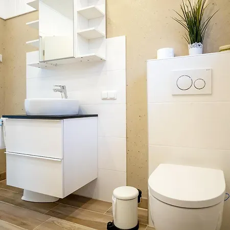 Grosser Strandlaeufer Großenbrode