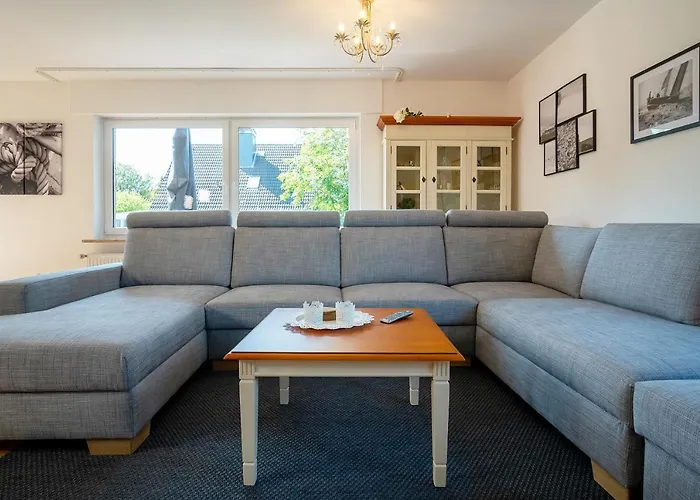 Großer Strandläufer Großenbrode